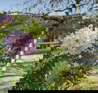 Wentworth Rose - Accommodation Coffs Harbour