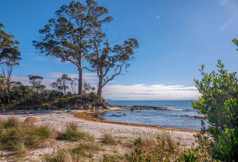 Adventure Bay Holiday Home - Accommodation Coffs Harbour 3
