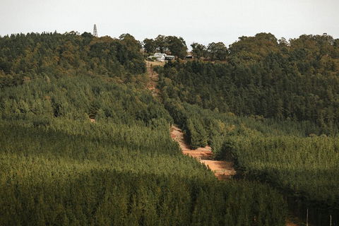Nannup Hideaway - Accommodation Coffs Harbour 4