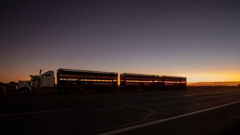 Longreach Outback Adventures - Accommodation Coffs Harbour 2