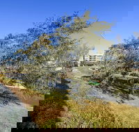 Accommodate Canberra The Summit - Accommodation Coffs Harbour