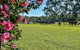 Curra Homestead Maleny - thumb 1