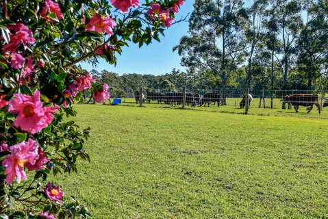 Curra Homestead Maleny - Accommodation Coffs Harbour 1