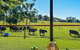 Curra Homestead Maleny - thumb 0