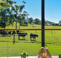 Curra Homestead Maleny - Accommodation Coffs Harbour