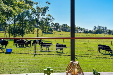 Curra Homestead Maleny - Accommodation Coffs Harbour 0