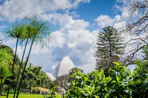 Amazing View Kozy 2 Bed APT With Parking Waterloo Nwa052 - Accommodation Coffs Harbour 6