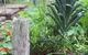 Peaceful Rainforest Wildlife Retreat - thumb 2