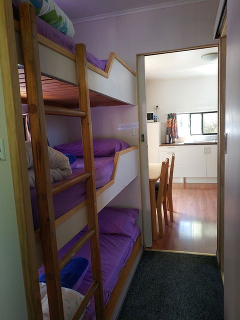 Zeehan Bush Camp - Accommodation Coffs Harbour 5