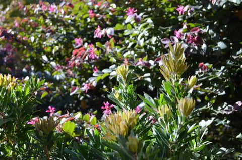A Bach At Bright Bright VIC - Accommodation Coffs Harbour 4