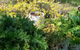 Ahvenbloem Park Winganna - thumb 1
