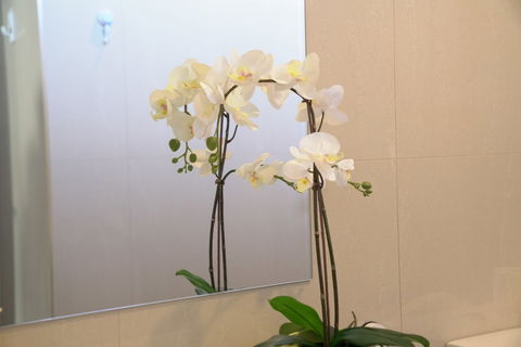 Comfort House Near Box Hill - Accommodation Coffs Harbour 1