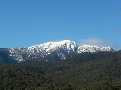 Alps Lodge - Accommodation Coffs Harbour 4