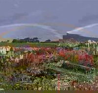 Boat Harbour Garden Cottages - Accommodation Coffs Harbour