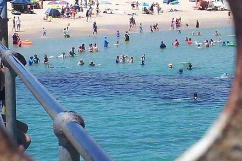Waterfront Port Noarlunga - Accommodation Coffs Harbour 2