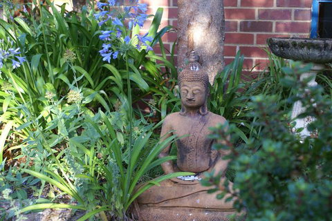 Ellensbrook Cottages - Accommodation Coffs Harbour 4