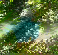 Palm Cove Tropic Apartments - Accommodation Coffs Harbour