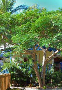 Ewingsdale NSW Accommodation Coffs Harbour