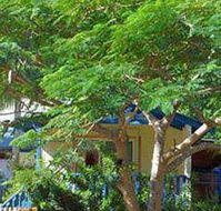 Amber Gardens Guesthouse - Accommodation Coffs Harbour