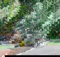 Oasis at Palm Cove - Accommodation Coffs Harbour