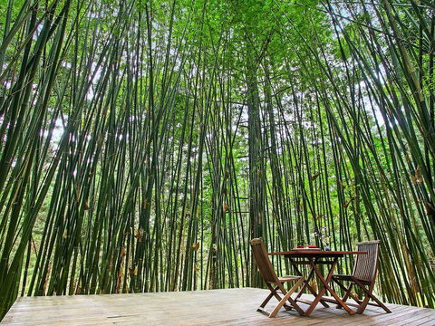 Azabu Boutique Accommodation Byron Bay - Accommodation Coffs Harbour 0