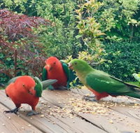 Crimson Villa - Accommodation Coffs Harbour