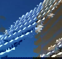 Northwind Holiday Apartments Mooloolaba - Accommodation Coffs Harbour