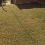 GOLDEN LACE B & B - Accommodation Coffs Harbour 0