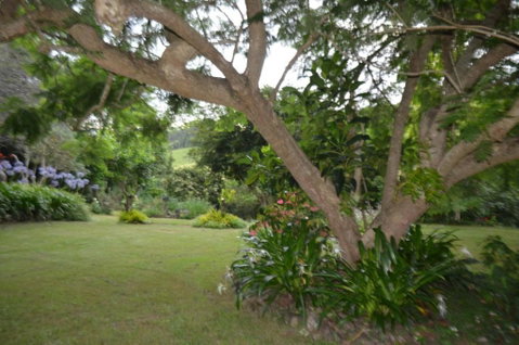 Ruddles Retreat - Accommodation Coffs Harbour 1