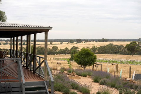 Gilgraves Vineyard Farmstay - Accommodation Coffs Harbour 2
