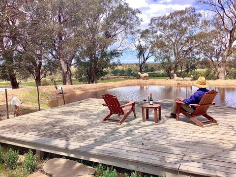 Gilgraves Vineyard Farmstay - Accommodation Coffs Harbour 6