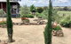 Gilgraves Vineyard Farmstay - thumb 1