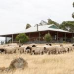 Gilgraves Vineyard Farmstay - Accommodation Coffs Harbour 0