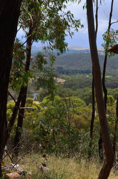 Trestrail Cottage B & B - Accommodation Coffs Harbour 3