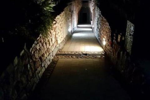 Zen Underground B & B - Accommodation Coffs Harbour 2