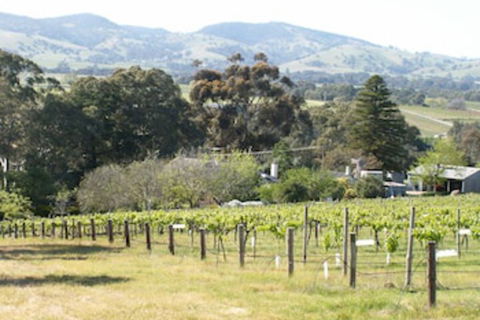 Archery Road Estate - Accommodation Coffs Harbour 0