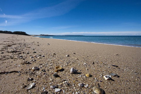 Kirbys Berrara Beach House - Accommodation Coffs Harbour 3