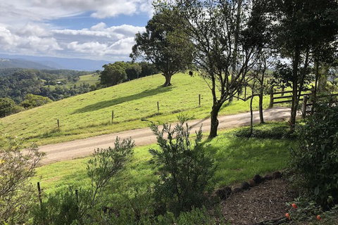 Top Cottage At Maleny - Accommodation Coffs Harbour 5