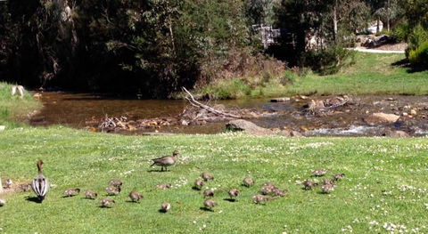 RiverCottage Selfcontained - Accommodation Coffs Harbour 3