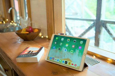 Adelaide Hills Camellia Cottage WiFi - Accommodation Coffs Harbour 4