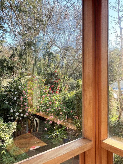 Adelaide Hills Camellia Cottage WiFi - Accommodation Coffs Harbour 6