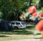 Belair National Park Holiday Park - Accommodation Coffs Harbour