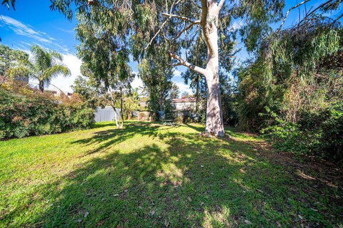 Evergreen On Franklin Family Friendly Wifi Unique - Accommodation Coffs Harbour 3