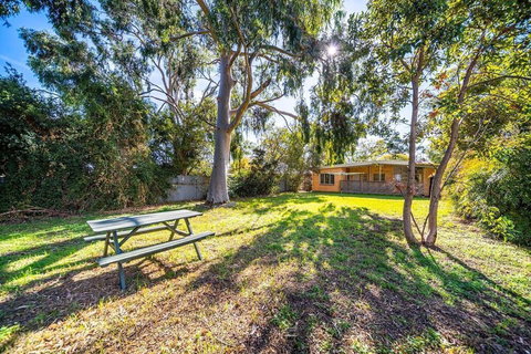 Evergreen On Franklin Family Friendly Wifi Unique - Accommodation Coffs Harbour 2