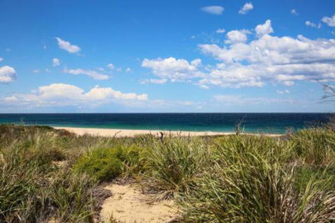 Sea Dream Pet Friendly 1 Min Walk To Beach - Accommodation Coffs Harbour 5