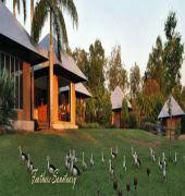 Feathers Sanctuary - Accommodation Coffs Harbour 6
