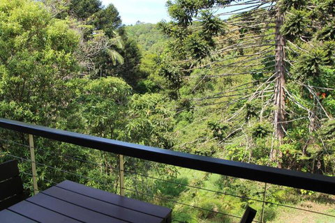 Kaalba - Accommodation Coffs Harbour 7