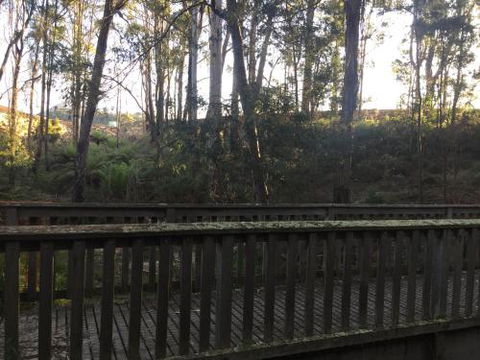 Harlea - Accommodation Coffs Harbour 1