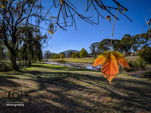 Dillons Cottage - Accommodation Coffs Harbour 4