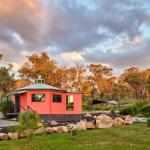Zuny Yurt - Accommodation Coffs Harbour 0